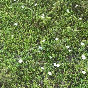 Meet your Posher, Alexandria